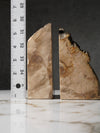 Petrified Wood Bookend (1)