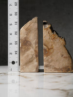 Petrified Wood Bookend (1)