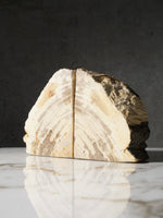 Petrified Wood Bookend (2)