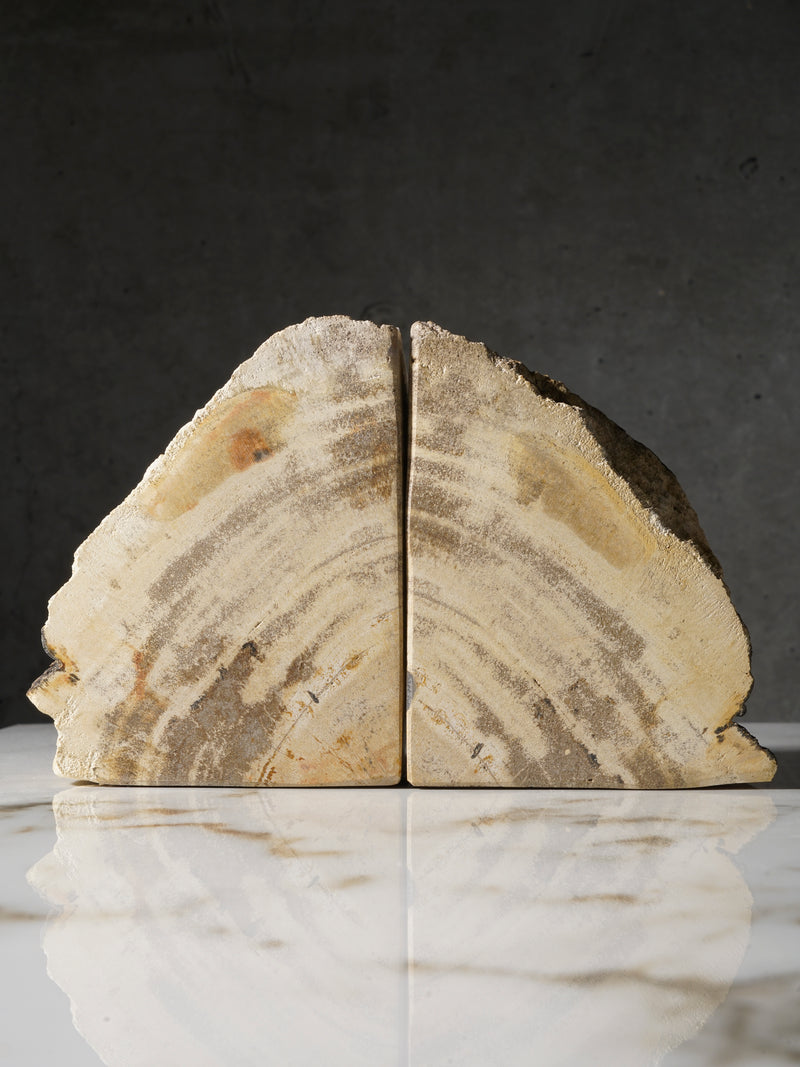 Petrified Wood Bookend (2)